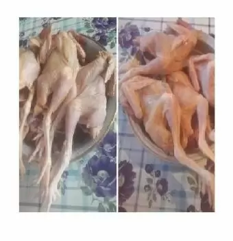 Çolpalar