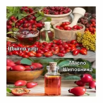 İtburnu yağı
