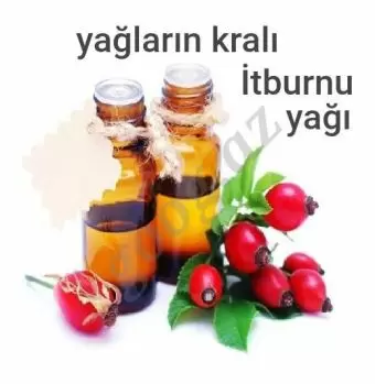 İtburnu yağı