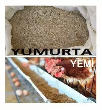 Quşlar üçün proteinli yem