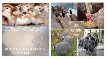 Quşlar üçün proteinli yem