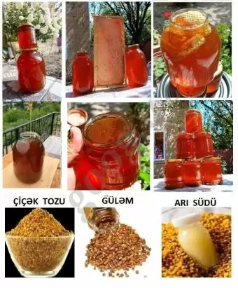 Dağ balı