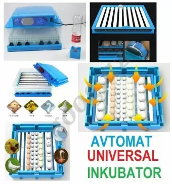 İnkubator avtomatik