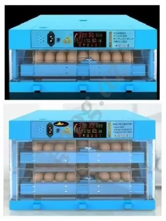 İnkubator avtomatik