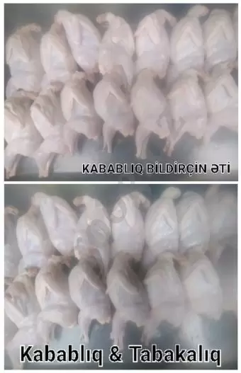 Bildirçin əti