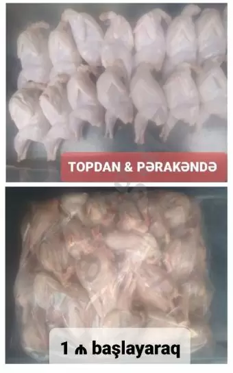Bildirçin əti