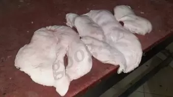 Quzu quyruğu dondurulmuş