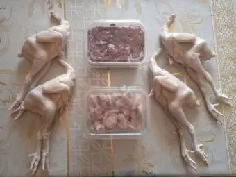 Serebrist çolpalar