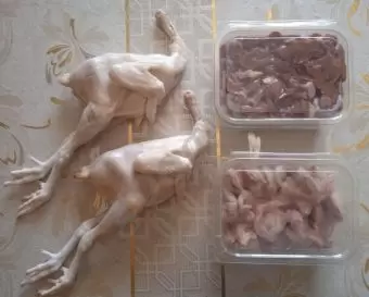 Serebrist çolpalar