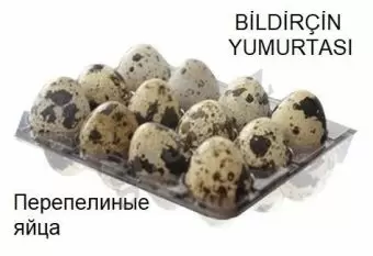 Bildirçin yumurtası