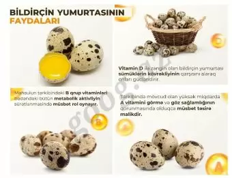 Bildirçin yumurtası